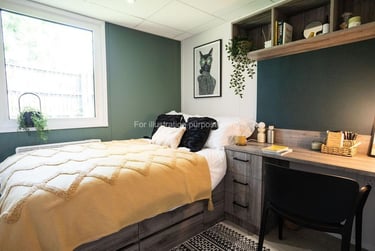 1 bed studio, St Anns Well Road, Hockley, Nottingham, NG31BH - Image 2